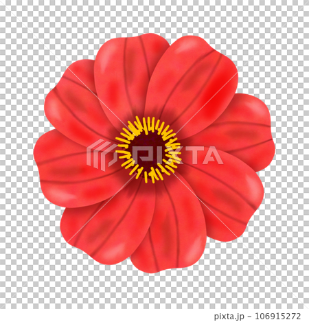 abstract flower with frame isolated on white 106915272