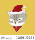 cute cat in a Santa costume 106915381