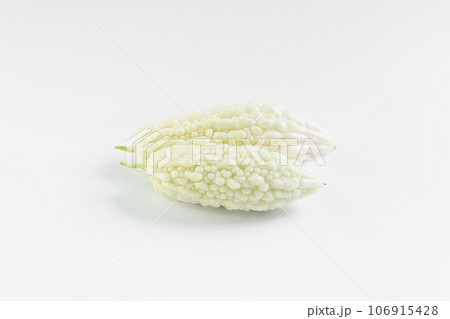 白いゴーヤ 106915428
