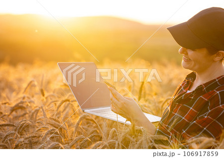 Woman farmer working with laptop on wheat field. Smart farming and digital agriculture 106917859