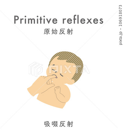 イラスト素材: 原始反射 吸啜反射 イラスト素材: 原始反射 吸啜反射 106918073
