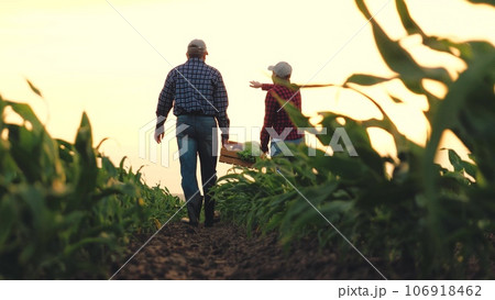 joint family business sun, two farmers carry box vegetables across farm field sunset, farming vegetables box, hand box vegetables, care view sunlight field products smooth land eating fresh farmers joint family business sun, two farmers carry box vegetables across farm field sunset, farming vegetables box, hand box vegetables, care view sunlight field products smooth land eating fresh farmers 106918462