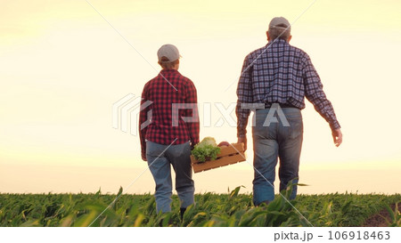 joint family business sun, two farmers carry box vegetables across farm field sunset, farming vegetables box, hand box vegetables, hands put farmer products season eating carry rear beet garden young joint family business sun, two farmers carry box vegetables across farm field sunset, farming vegetables box, hand box vegetables, hands put farmer products season eating carry rear beet garden young 106918463