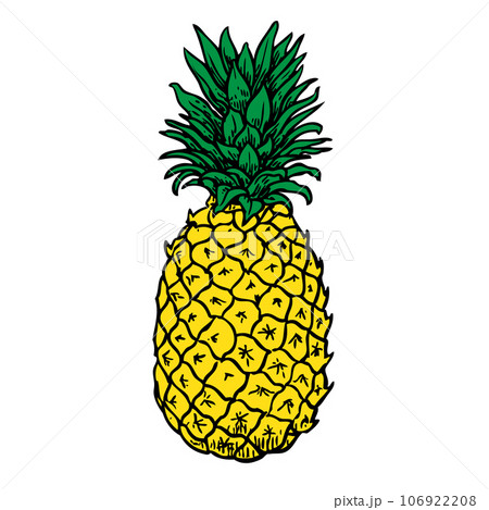 Pineapple black sketch cartoon 106922208