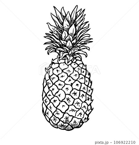 Pineapple black sketch 106922210