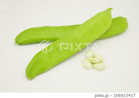 ナタ豆 106923457