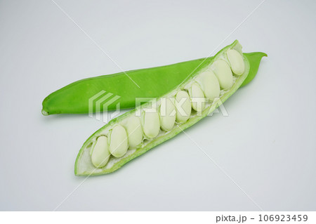 ナタ豆 ナタ豆 106923459