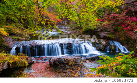 秋の浅布渓谷：不動の滝 106923772