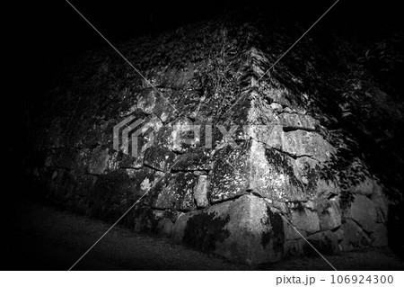 夜の石垣～鶴ヶ城址 106924300