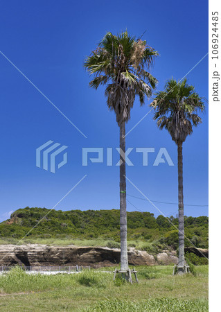 屛風ヶ浦海水浴場 106924485