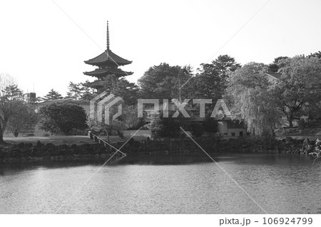 興福寺 五重塔 興福寺 五重塔 106924799