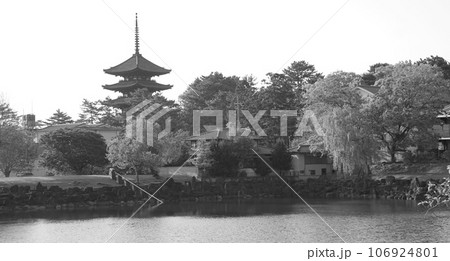 興福寺 五重塔 興福寺 五重塔 106924801