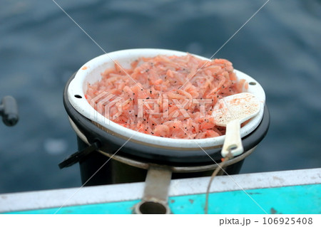 海釣り イメージ 海釣り イメージ 106925408