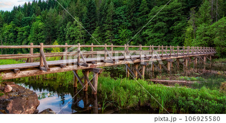 Wooden trail by the lake in Canadian Nature. Wooden trail by the lake in Canadian Nature. 106925580