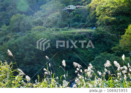 黒部ダムへ向かうトレッカーたち初秋の阿曽原温泉小屋とキャンプ場の朝 106925955