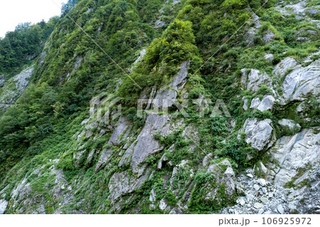 志合谷のトンネル上流側出てからのまだ緑残るの初秋10月の黒部峡谷水平歩道の風景 106925972