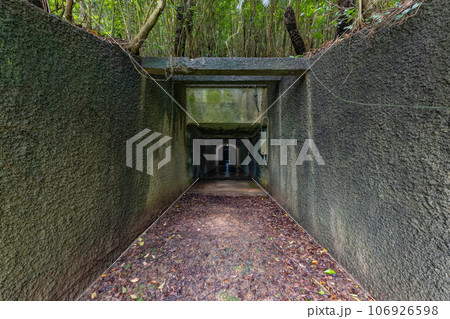 奄美大島　手安弾薬本庫跡（てあんだんやくほんこあと） 106926598