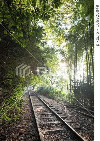 倉吉線　木漏れ日散歩 106926849