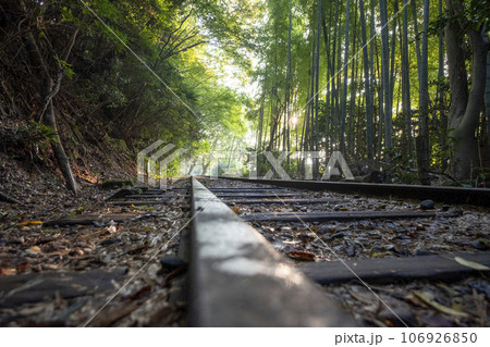 倉吉線　木漏れ日散歩 106926850