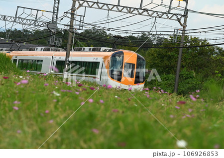電車とコスモスの花 電車とコスモスの花 106926853