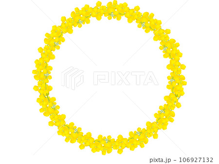 ミモザの花のリース 106927132