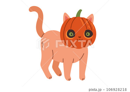 Halloween cat. Brown kitten in jack o lantern costume. Happy halloween costume illustration. 106928218