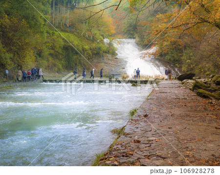 紅葉の養老渓谷・粟又の滝 / Awamata Waterfalls, Japan 紅葉の養老渓谷・粟又の滝 / Awamata Waterfalls, Japan 106928278