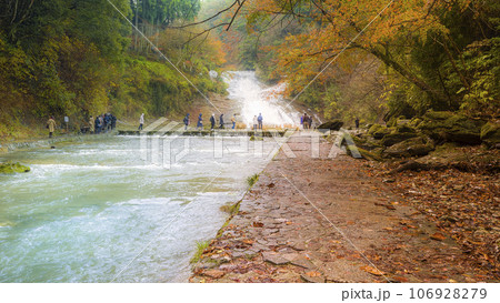 紅葉の養老渓谷・粟又の滝 / Awamata Waterfalls, Japan 紅葉の養老渓谷・粟又の滝 / Awamata Waterfalls, Japan 106928279