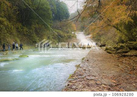 紅葉の養老渓谷・粟又の滝 / Awamata Waterfalls, Japan 106928280