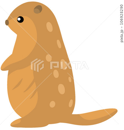 ホッキョクジリス 106928290