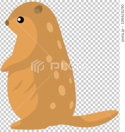 ホッキョクジリス 106928290