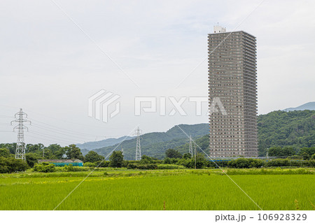 上山市のタワーマンションと田園風景 106928329