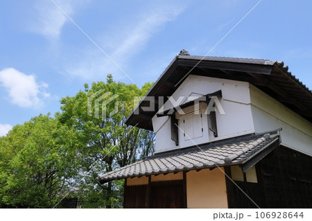 日本・埼玉の風景 106928644