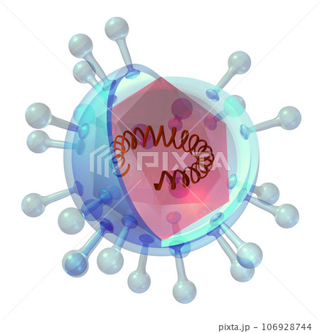 立体・3D「ウイルス/virus」 106928744
