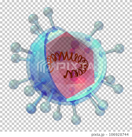 立体・3D「ウイルス/virus」 106928744