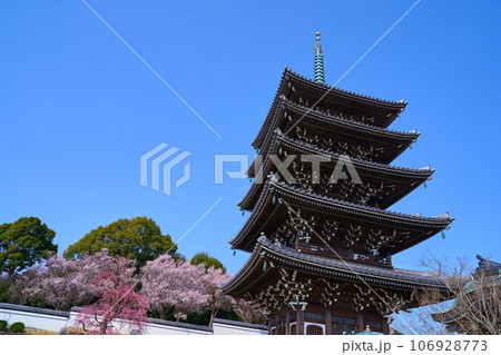 春の神奈川県川崎市麻生区の香林寺の五重塔と桜 106928773