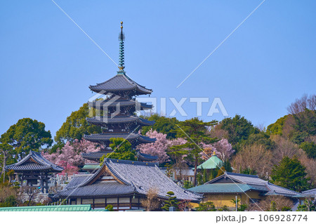 春の神奈川県川崎市麻生区の香林寺の五重塔と桜 106928774