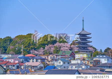 春の神奈川県川崎市麻生区の香林寺の五重塔と桜と街並み 106928775
