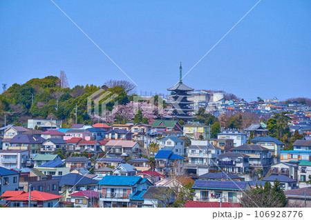 春の神奈川県川崎市麻生区の香林寺の五重塔と桜と街並み 106928776