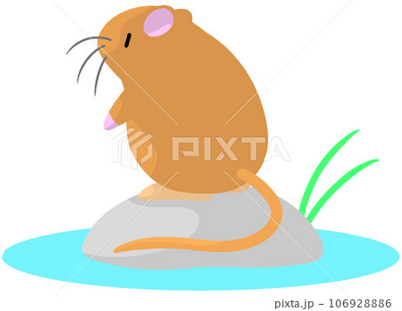 ミズハタネズミ ミズハタネズミ 106928886