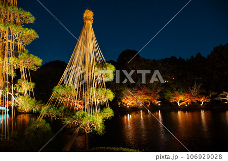 薬師池公園のライトアップされた紅葉風景 薬師池公園のライトアップされた紅葉風景 106929028