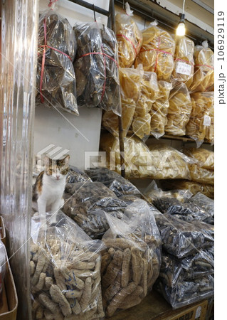 香港・徳輔道西の乾物店で売られる超高級食材日本産干しナマコの上で店番するネコ 香港・徳輔道西の乾物店で売られる超高級食材日本産干しナマコの上で店番するネコ 106929119