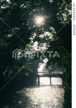 葉山、木漏れ日に照らされる橋 106929174