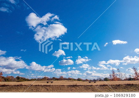 さわやかな秋の空【背景素材】 さわやかな秋の空【背景素材】 106929180