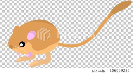 old kangaroo rat old kangaroo rat 106929283