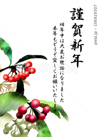 年賀状　マンリョウのイラスト　文字入り 106929307