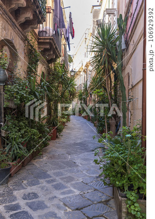 street with flowers street with flowers 106929392