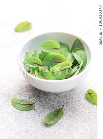 Fresh sorrel microgreens Fresh sorrel microgreens 106930347