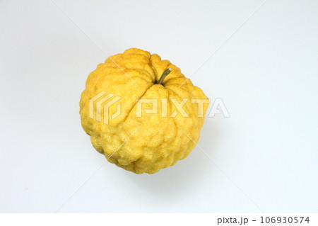 獅子柚子07 獅子柚子07 106930574