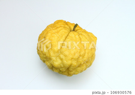 獅子柚子09 獅子柚子09 106930576